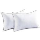 JOLLYVOGUE King Size Pillows for Sleeping Set of 2, Soft and Supportive Bed Pillows for Side Back Stomach Sleeper, Down Alternative Hotel Collection Pillows 2 Pack