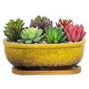 ARTKETTY Succulent Pots, Rectangular Succulent Planters with Drainage Ceramic Bonsai Pot with Tray Small Cactus Flower Plant Container, Home Garden Window Box, Yellow