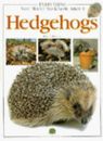 Everything You Want to Know About Hedgehogs By Dilys Breese