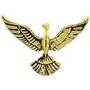 Tripin Eagle Shape brooches broaches Lapel pin for Men Boys Girls for Office Corporate Party French Cuff Shirts Shirt Suit Blazer in a Gift Box TSCPGOLD1783