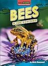 Bees in Their Ecosystems (Vital to Earth! Keystone Species Explained)