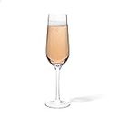TOSSWARE Reserve 9oz Champagne Glass Set of 8, Premium Quality, Tritan Dishwasher Safe & Heat Resistant Unbreakable Plastic Flutes