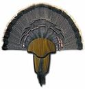 HUNTERS SPECIALTIES Strut Turkey Tail & Beard Mounting Kit - Durable Easy To Assemble Trophy Mount Kit With Hardware Included