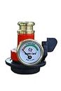 ICONIC CARE Brass RED Gas Safety Device - Gas Leakage Detector with 3 Yrs. Warranty (100% Auto Cut Off)