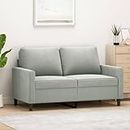 LAPOOH 2-Sitzer-Sofa Hellgrau 120 cm Samt, Loungesofa, Sofas & Couches, Relaxsofa, Couch für Wohnzimmer, Couch Mit Schlaffunktion - 359189