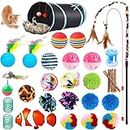Cat Toys Set 30 PCS, Kitten Interactive Cat Toys for Indoor, Incl Cat Tunnel, Fish, Mice, Variety of Balls and Bells Feather Wand, Fun Chew Sticks, Cat Springs, Cat Toys for Indoor & Outdoor Playing