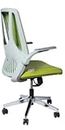 Dr Luxur Posh Ergonomic Office, Computer, Gaming, Gaming Chair, Breathable Mesh with Combed Lumbar Support, Flip-up Arms with Multi-Tilt Lock Mechanism, Chrome Base with Huge 60mm PU Castors (Green)
