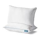 LUCID Premium Shredded Memory Foam Pillow - Hypoallergenic - Adjustable Loft - 2 Pack - Queen, White
