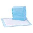 Amazon Basics Dog and Puppy Pads, Leak-proof 5-Layer Pee Pads with Quick-dry Surface for Potty Training, Regular (22 x 22 Inches) - Pack of 100