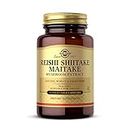 Solgar Reishi Shiitake Maitake Mushroom Extract - Vegetable Capsules - Pack of 50 - Combination of Japanese Mushrooms - Gluten Free - Vegan