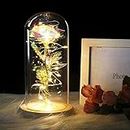 IRONA Beauty and The Beast Rose in Glass Dome with LED Lights, Everlasting Crystal Rose Flowers, Birthday Gifts for Women, Christmas Valentine's Day Mother's Day Birthday Best Gifts