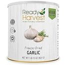Ready Harvest - Freeze Dried Whole Foods for Emergency Food Storage, Camping Supplies, and Survival Kits | Sealed Fresh in #10 Can | 30 Year Shelf Life | 1 Can | Garlic
