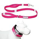 Shed Defender Mag-Snap Leash for Dogs - Wearable Magnetic Leash - Attaches to Any Collar - Two Padded Handles - Reflective Stitching - 5 Ft. (Pink)