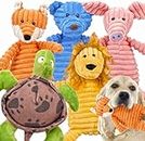 Ousiya 5 Pack Squeaky Plush Dog Toys Assortment: Small Stuffed Puppy Chew Toys, Plush, Squeaky, and Chewy Dog Toys for Puppies Mediem Large Dogs