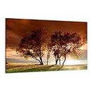 Visario XXL 5025 Canvas Image of Trees 120 x 80 cm Wall Canvas Artwork, Framed, Ready to Hang, All Images on Large, Real Wood Frames.
