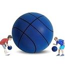 Hannahcos Silent Basketball, Silent Basketball Dribbling Indoor, Dribble Dream Silent Basketball,Foam Basketball Indoor Training Quiet Ball Gift for Youth Kids (21cm-Blue)