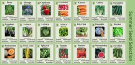 ORGANIC, NON-GMO, NON-HYRID, HEIRLOOM Vegetable Seeds -Summer planting varieties