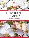 Greenfingers Guides: Fragrant Plants