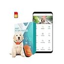 FeTaca® Smart 4G Pet GPS Tracker for Dogs, Small Cats & Other Animals with Lifetime FreeTracking Platform & 1 Year Data SIM Subscription