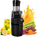 Masticating Juicer Machine for Whole Fruits and Vegetables, Cold Press Slow 