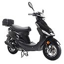 X-PRO Maui 50cc Moped Gas Moped Motorcycle 50cc Adult Aluminum Wheels (Black)