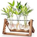 cfmour Plant Terrarium with Wooden Stand,Propagation Stations Glass Air Planter Desktop Metal Swivel Holder for Indoor Live Hydroponics Plants Office Home Garden Decor Gifts for Women(3 Bulb Vase)