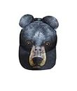 BRIEF INSANITY Kids Animal Hat - Durable Youth Baseball Style Cap with Adjustable Backstrap, Black, One Size