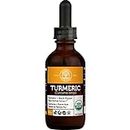 Global Healing Organic Turmeric with Black Pepper Extract - Curcumin Liquid Supplement to Support Joint Mobility, Natural Antioxidant to Support Heart Health (2 Oz)