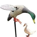 Mallard Ducks Lure, Remote Control Electric Duck Lure with Battery, Rugged Series Full Body Mallard Marsh Pack Hunting Lure, Rotating Wing Mallard Flexible Duck Lure for Hunting