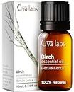 Gya Labs Birch Essential Oil Diffuser - Birch Oil for Skin - Essential Oil Birch for Massage, Scents, Perfumes, Fragrances, Candles & Soaps - Sweet, Minty & Camphorous Scent - 100% Natural(0.34 Fl Oz)