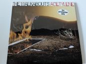 The Walkabouts - Acetylene - 2005 Promo Alternative Rock Glitterhouse Records