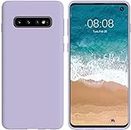 LOXXO® Samsung S10 Back Cover Crystal Clear Case, Soft TPU Thin Cover with Electroplated Edge Slim Case for Samsung Galaxy S10 (Purple Candy)
