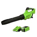 Greenworks 40V (500 CFM / 120 MPH) Axial Leaf Blower, 2.5Ah USB Battery and Charger Included, BL40B2512