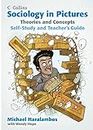 Theories and Concepts: Self-Study and Teacher’s Guide (Sociology in Pictures)