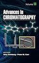 Advances in Chromatography: Volume 58 (ISSN)