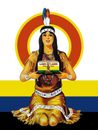 Land O Lakes Butter with Indian Girl New Metal Sign: 9x12" Free Shipping