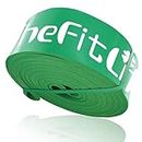 TheFitLife Resistance Pull Up Bands - Pull-Up Assist Exercise Bands, Long Workout Loop Bands for Body Stretching, Powerlifting, Fitness Training, Bonus Carrying Bag and Workout Guide (Green)