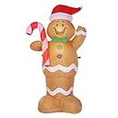 NEE 5 Feet Inflatable Gingerbread Man Giant Lighted Inflatable Decoration Holiday Blow Up Party Display with Fan Blower Ground Stake Ropes Water Bag AURH
