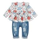 SANMIO Toddler Baby Girl Clothes 18-24 Months Girl Clothing Cute Ruffle Tops Ripped Denim Jeans Pants Set Toddler Outfits for Girls