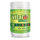 Vital Vital All in One polvere 120 g (precedentemente verdi vitali)