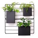 KASSELL Vertical Garden Wall Planter. Wall Mounted for Indoor/Outdoor. All Metal Black Vertical Planter with No Assembly Required. for Flowers, Herbs, Succulents and Plants