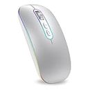 cimetech Wireless Bluetooth Rechargeable Mouse, Portable Lightweight Soundless 2.4G Ergonomic Mouse with LED Lights, Compatible with iPad/Laptop/PC/Mac/Windows - Silver
