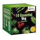 Gemüsesamen-Kit - Züchten Sie ganz einfach 10 Sorten Ihres eigenen Gemüses - Veg Seeds by Grow Buddha | Einzigartige Geschenkidee