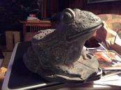 Large Resin Toad Garden Statue