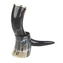 Viking Drinking Horn Mug - Viking Drinking Horn with Horn Stand