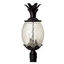 Acclaim Lighting | 7517BK | Lanai Collection | Large Outdoor Post Mounted Pineapple Dimmable Lantern | Durable Anti-Rust Cast Aluminum | Three Light in Matte Black | Showcases Style and Hospitality