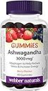 Webber Naturals Ashwagandha Gummy, 45 Berry Flavoured Gummies, Helps to Reduce Stress and Increase Energy, Vegan
