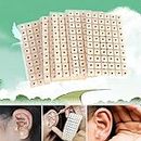Acupuncture needle ear seeds Vaccaria Seeds ear massage paste Ear stickers Auricular Vaccaria ear press seed - 600pcs/lot