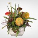 Bayou Breeze Artificial Desktop Tillandsia & Aloe Succulents w/ Protea Plant in Pot Silk/Plastic | 19 H x 18 W x 18 D in | Wayfair