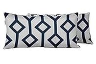Vargottam Indoor/Outdoor Polyester Fabric Lumbar Pillow Cover with Insert, All-Weather Waterproof Rectangular Cushion for Patio Furniture, 12 x 20 Set of 2 - Abstracts-48